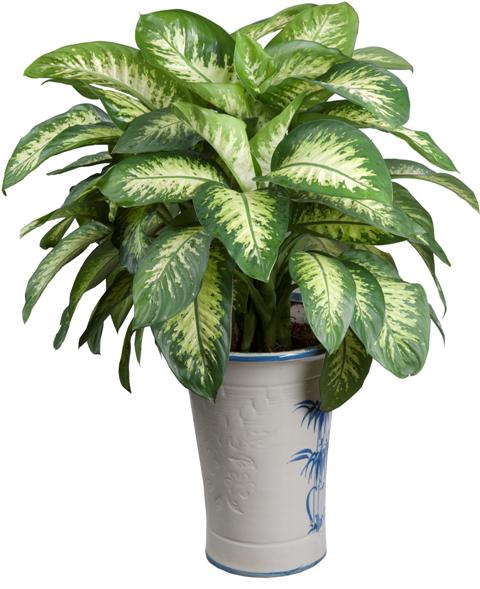 Hướng bố trí bàn làm việc văn phòng phù hợp với người mệnh thủy